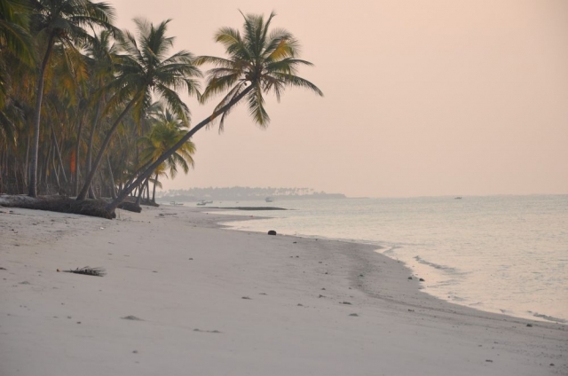 The Ultimate Guide to the Best Travel Social Media Apps in 2025